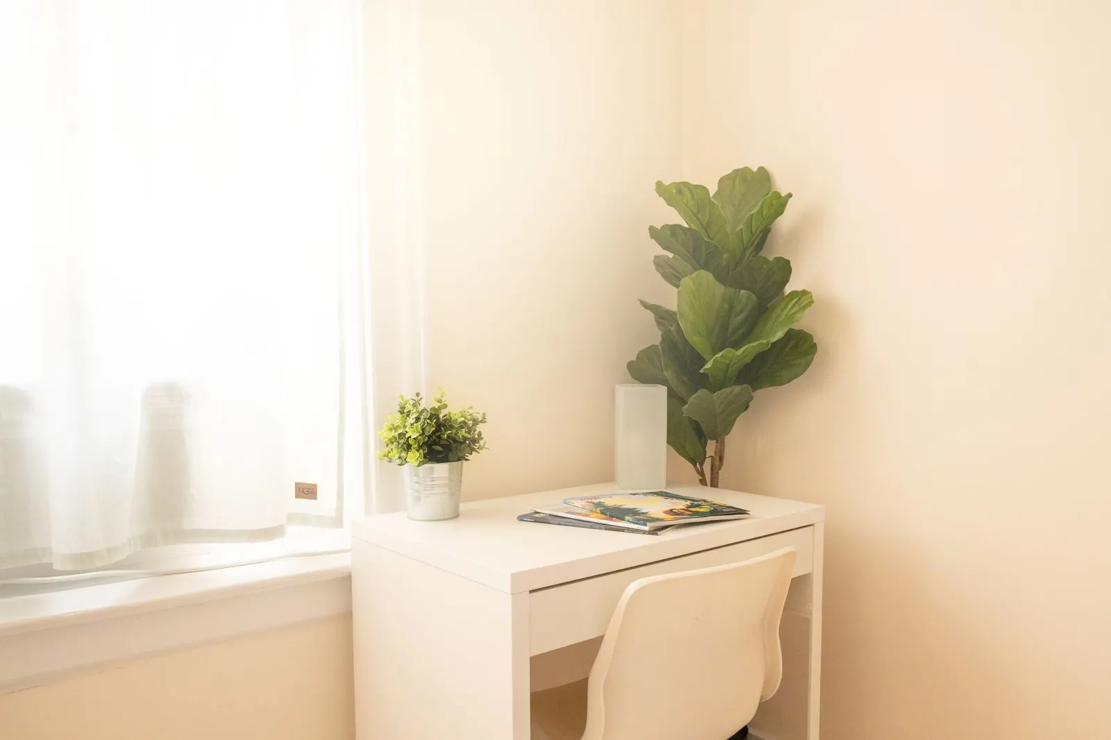 Compact white desk by a window with a task lamp, pinboard, wall shelf and a potted plant