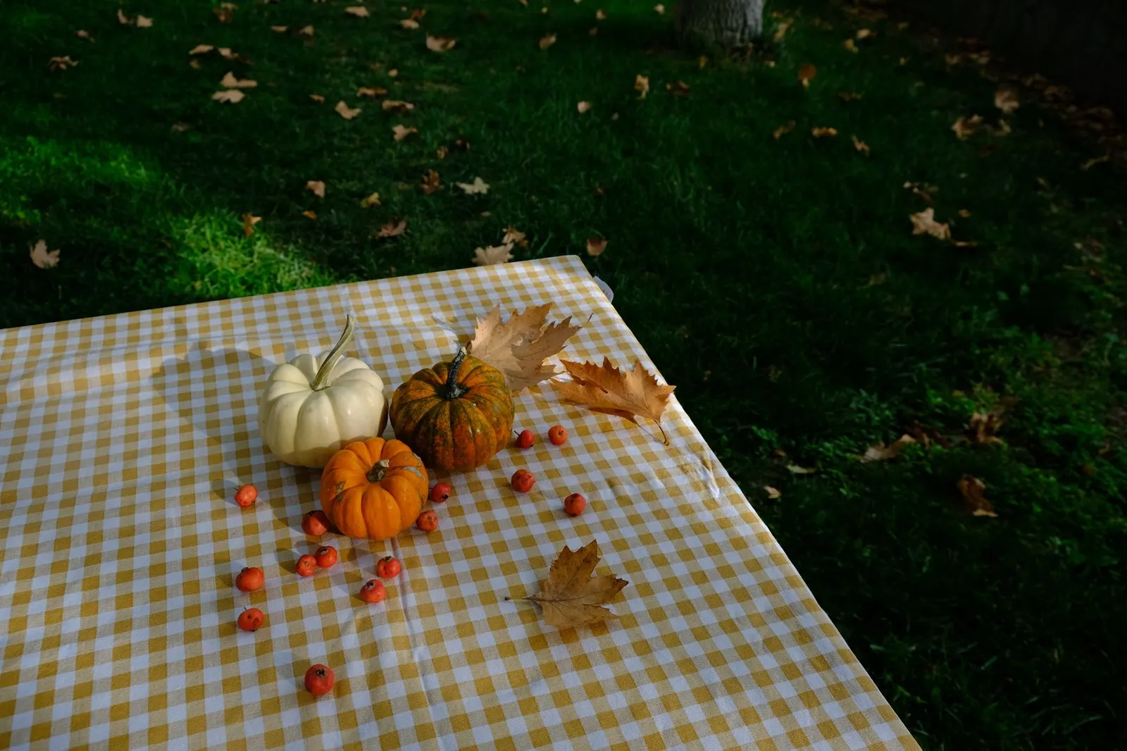 Kraft paper table runner with mini pumpkins, eucalyptus and handwritten name tags