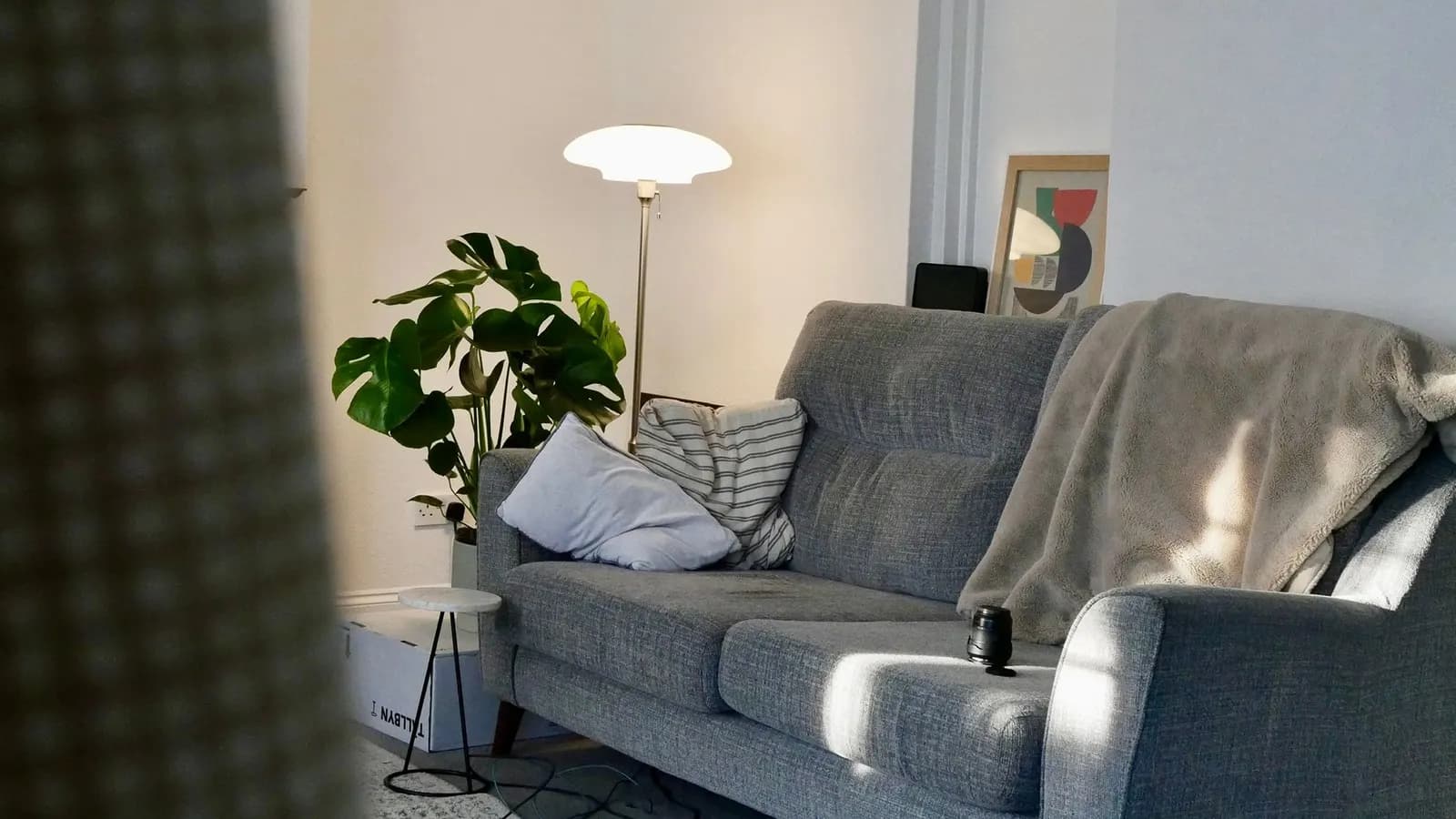 Cozy apartment living room in winter with lined curtains, a wool rug and a knit throw on the sofa