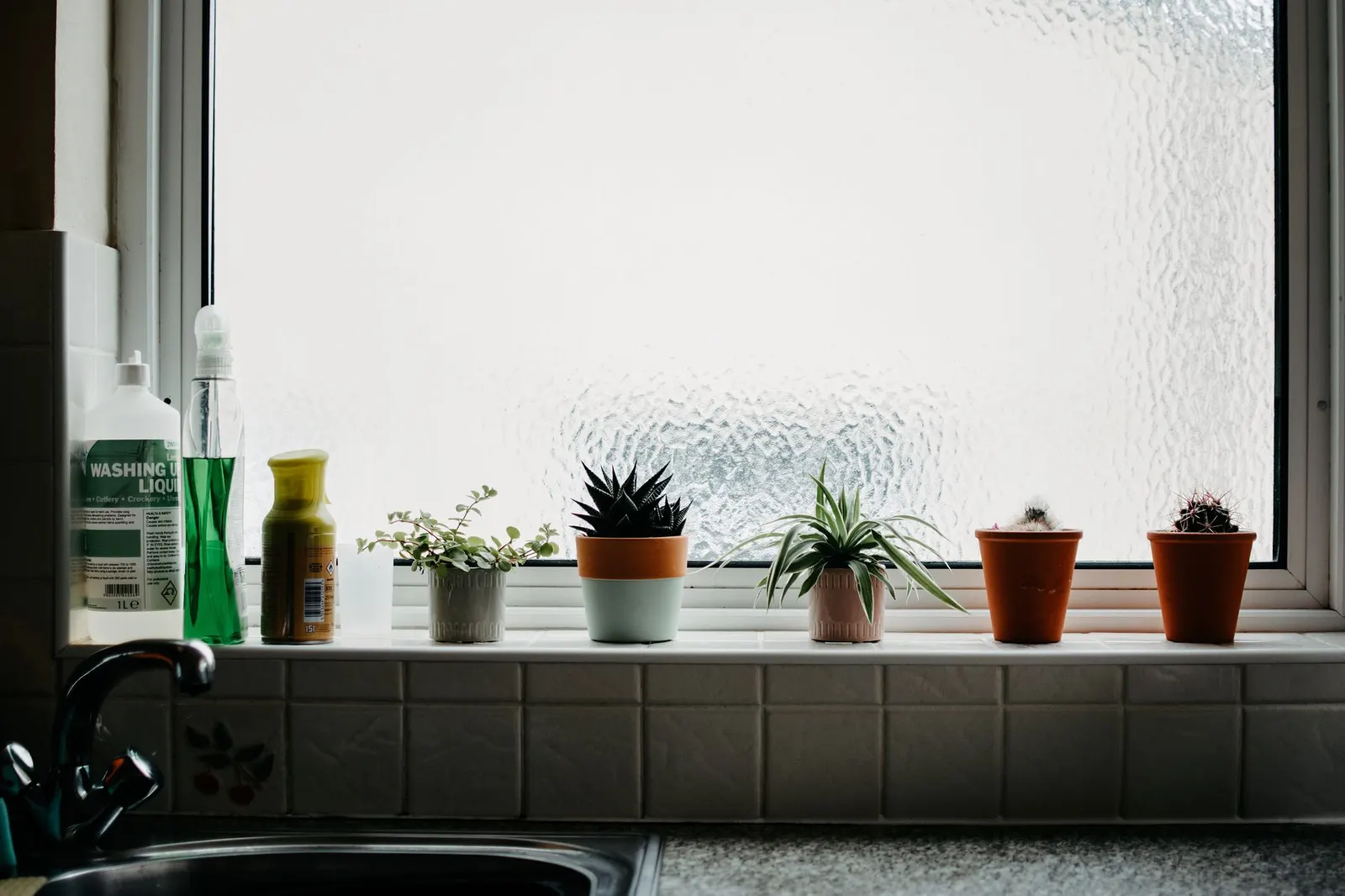 A collection of potted plants on a kitchen windowsill with cleaning products against frosted glass.